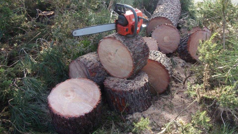 Serviço quase concluído Serviço quase concluído