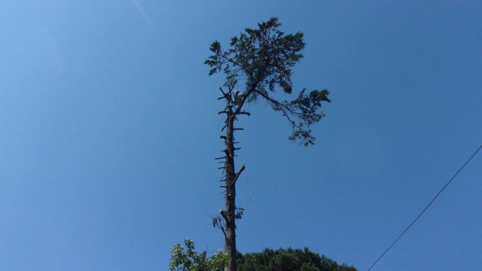 Chegamos a qualquer altura Chegamos a qualquer altura