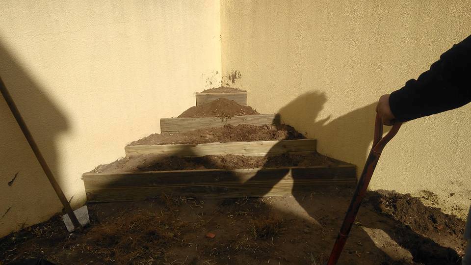 Um novo jardim no início Um novo jardim no início