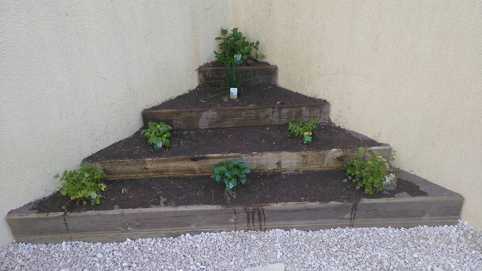 Mais um jardim concluído Mais um jardim concluído